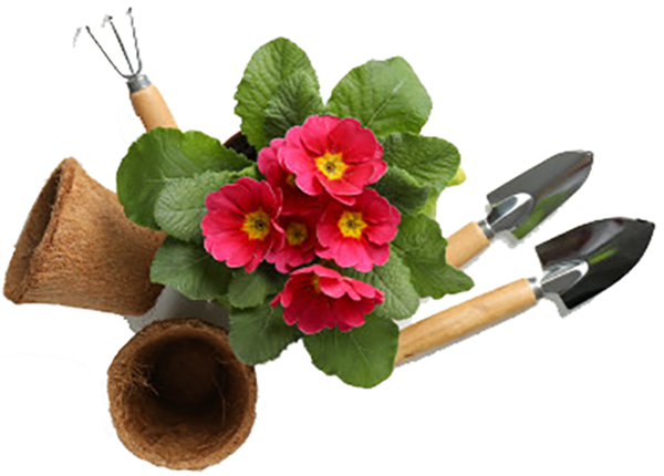 jardineria
